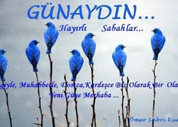 Yeni Bir Gün, Yeni Bir Hayat