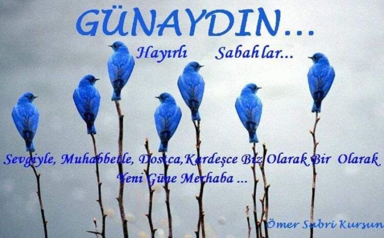 Yeni Bir Gün, Yeni Bir Hayat