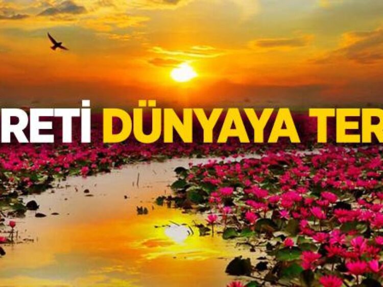 Her Zaman, Her Şeye Rağmen Kazanmak mı?