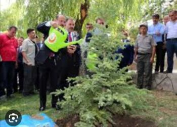 Şehrimize Yatırım Yaparak ve Üretimi Artırarak Kalkınabiliriz!