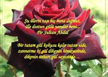 Bir Kalem, Bir Kăğıt