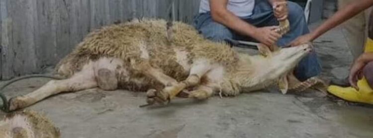 O Et Size Göre Değil (II)