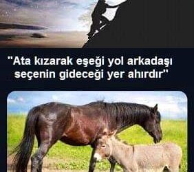 Yol Arkadaşı