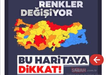 Haritanın Renkleri