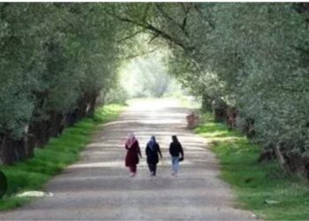 Yozgat Saray Köyünde Büyüleyici Eşsiz Bir Manzara