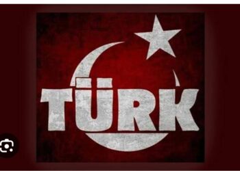 Türk