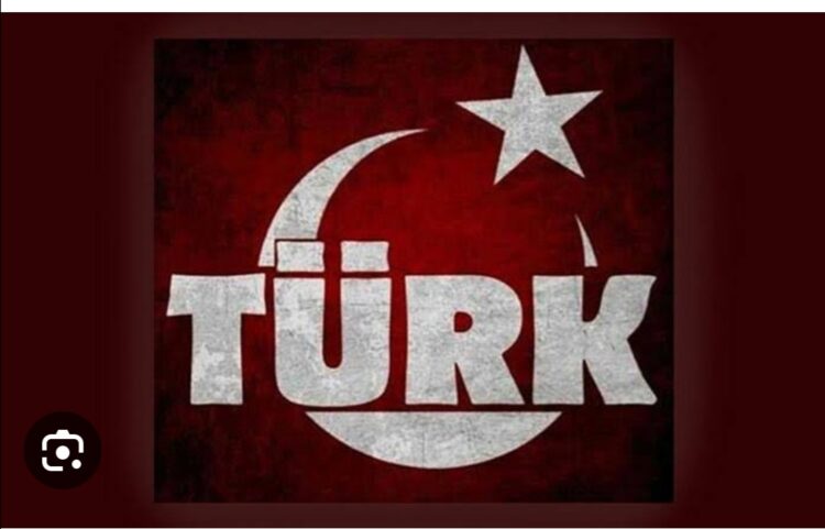 Türk