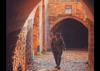 Telaşa Hiç Mahal Yok