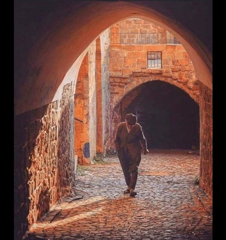 Telaşa Hiç Mahal Yok