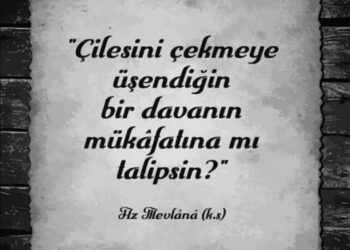 Çilesini Çekmediğin Fikir Senin Değildir