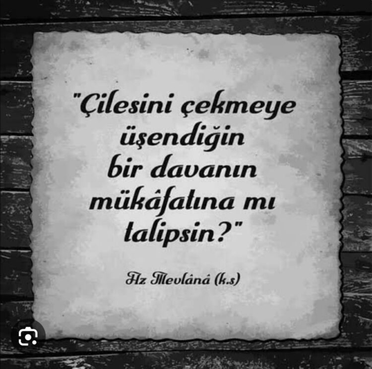 Çilesini Çekmediğin Fikir Senin Değildir