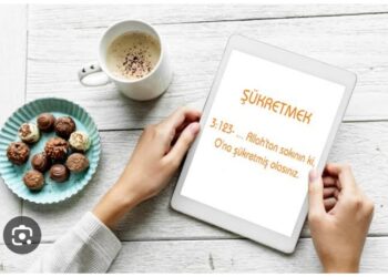 Şükre Değer Dünya