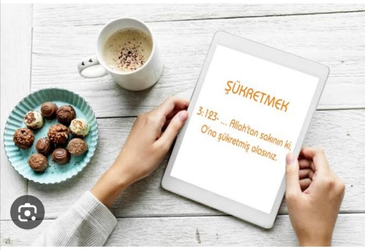 Şükre Değer Dünya