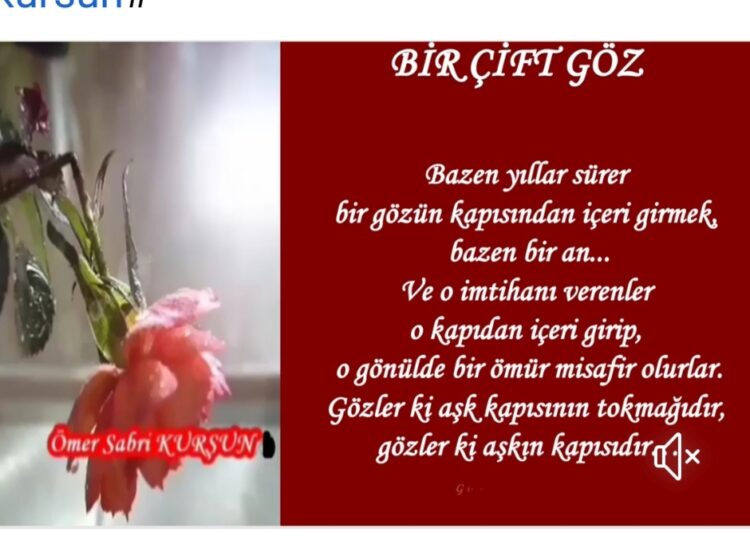 Bir Çift Göz