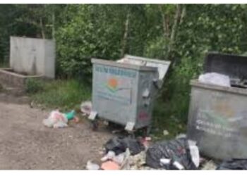 Çöplükteki Davetiye