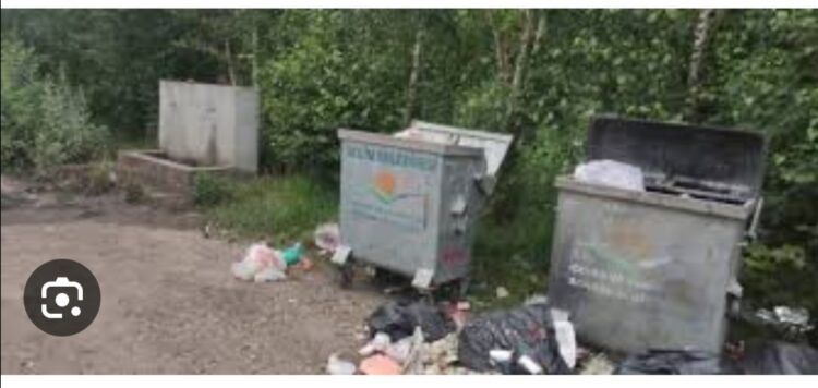 Çöplükteki Davetiye