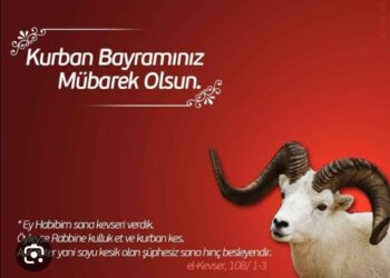 Kurban Bayramınız Mübarek Olsun Hayırlı Bayramlar!