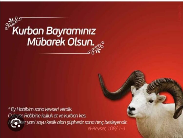 Kurban Bayramınız Mübarek Olsun Hayırlı Bayramlar!