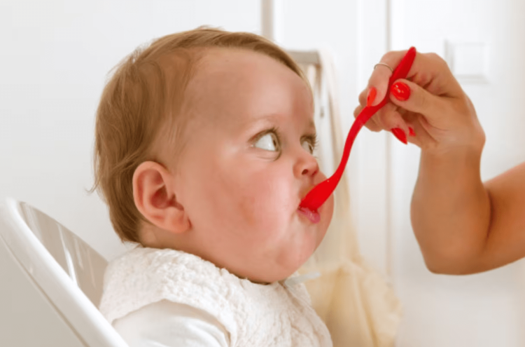 Yoz ve Yozlaştırılmış Gıdalar Son Tehdit Ediyor