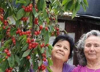 Sırrını Çözemedim Ama Böyle