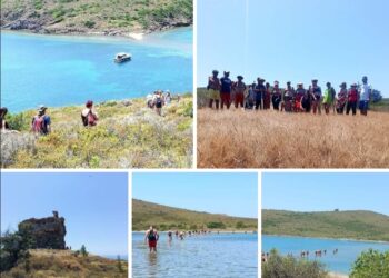 Apollon Adaları (İ)