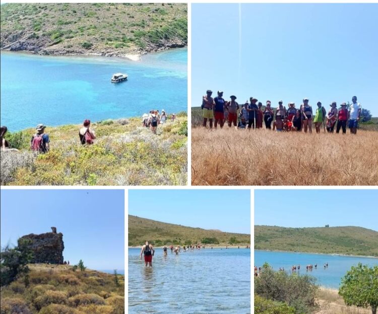 Apollon Adaları (İ)