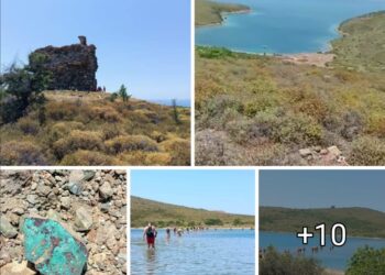 Apollon Adaları (II)