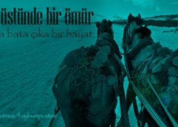 Kömür Yüklü At Arabası