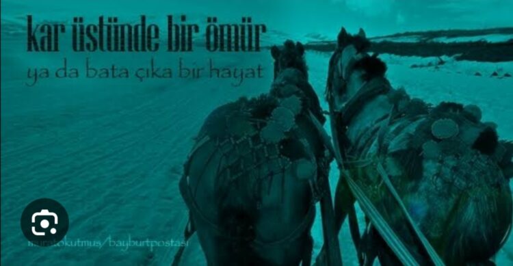 Kömür Yüklü At Arabası