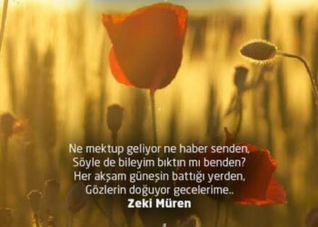 Ne Mektup Ne de Haber