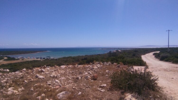 Halilülasyon Günlükleri 37 – Bataklık Domuzları