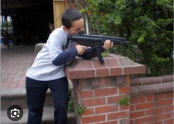 Özenti ve Silahlanma