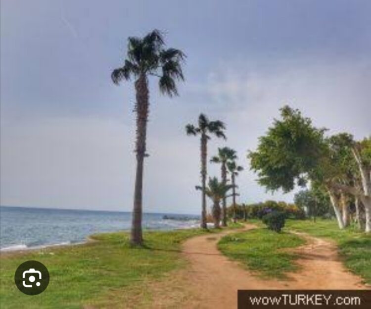 100.Yıl Tabiat Parkı