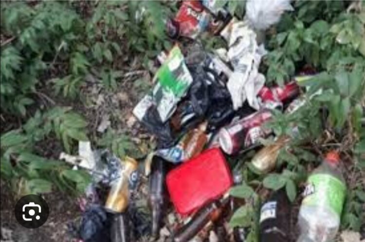 Çevre Duyarsızlığı Bize Yakışmıyor!