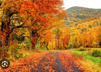 Sonbaharda Tanıştık