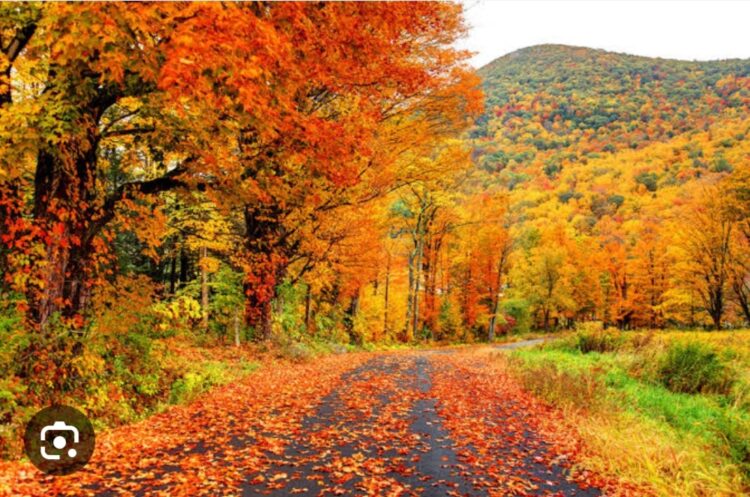 Sonbaharda Tanıştık