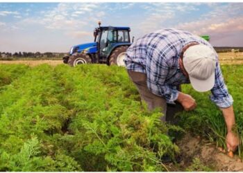 Yormayın Çiftçiyi