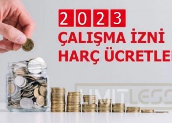 Çalışma İzninde Ücret Şartı