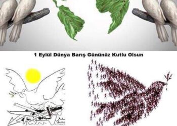 1 Eylül Dünya Barış Günü