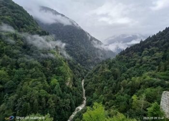 Doğu Karadeniz Rüyası (III)