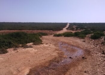 Didim Günlükleri (II) – Romanın İçinde Gezen Yazar (Gel, Okuyucu; Sen de Gez)