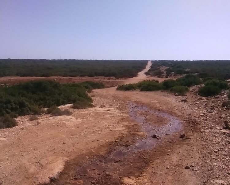 Didim Günlükleri (II) – Romanın İçinde Gezen Yazar (Gel, Okuyucu; Sen de Gez)