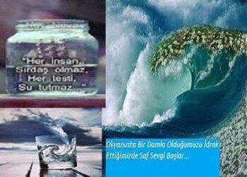 Okyanus Yürekli Dostlar