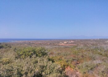 Didim Günlükleri (IV) – Roman Mekânları