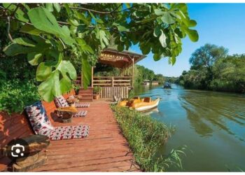 Şilede Bir Ağlayan Kaya