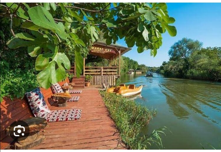 Şilede Bir Ağlayan Kaya