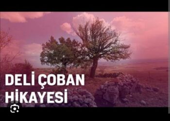 Damgalı Deli Çoban