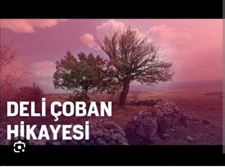 Damgalı Deli Çoban