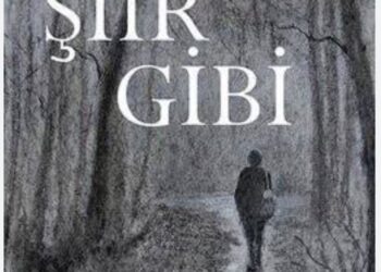 Şiir Gibi