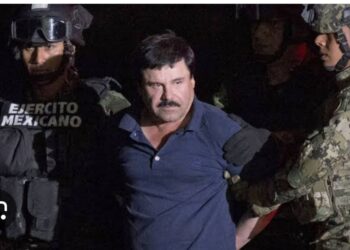 El Chapo ve Filistin